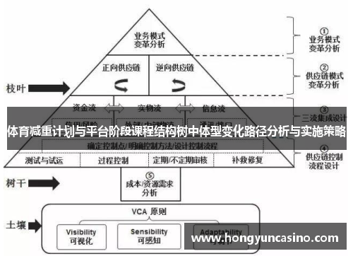 体育减重计划与平台阶段课程结构树中体型变化路径分析与实施策略